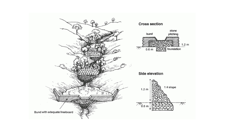 Ralegan Siddhi: A Model of Environmental Conservation