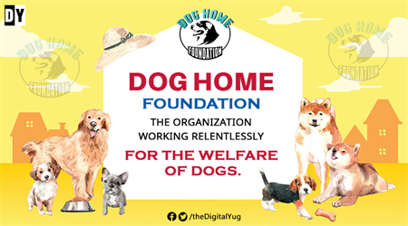 Dog Home Foundation - The organization working relentlessly for the welfare of dogs.