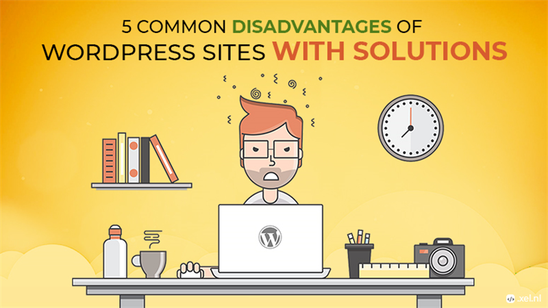 5 Common Problems Faced by WordPress Sites
